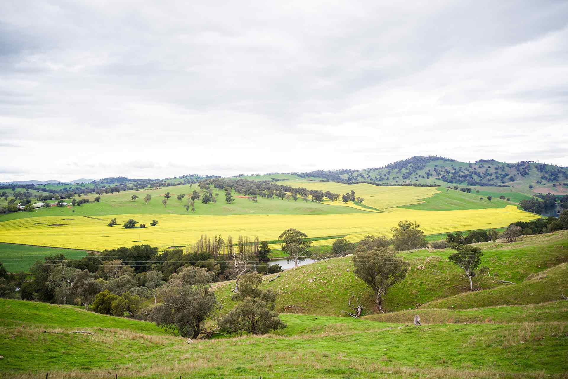 The River Cottage, Jugiong